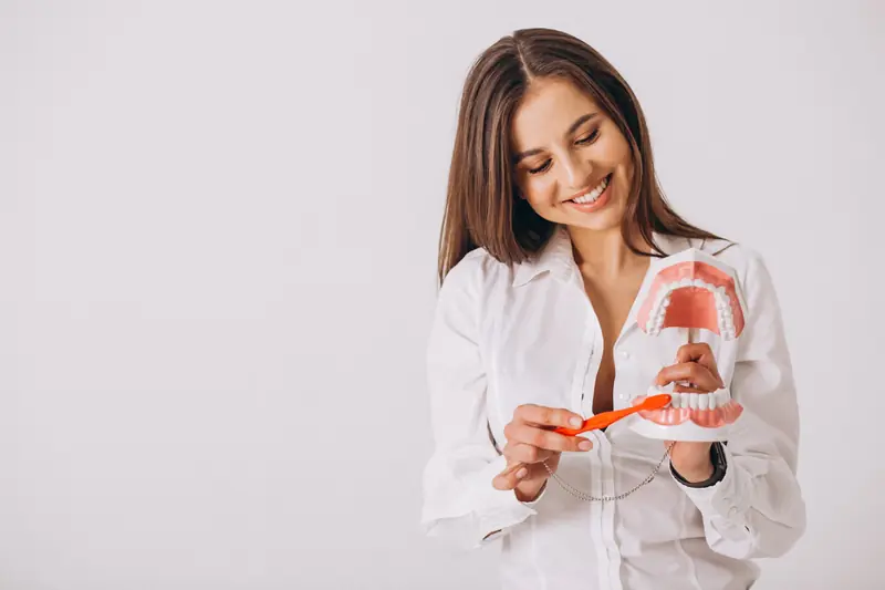 Dentista con un modelo de dentadura y un cepillo de dientes
