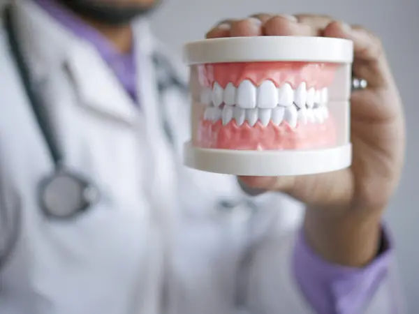 Dentista sujetando un modelo de dentadura